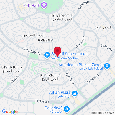 Google Maps static image